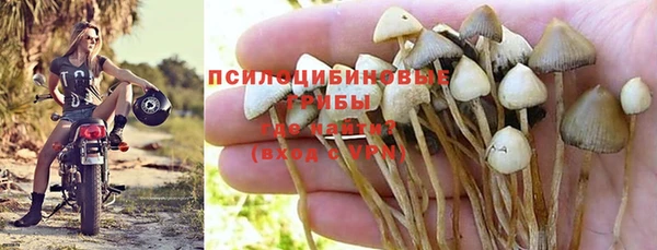 дмт Беломорск