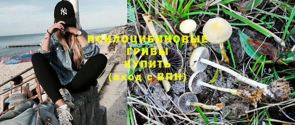 первитин Белоозёрский
