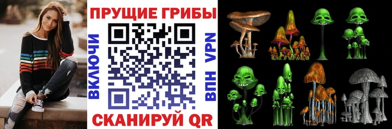 продажа наркотиков  Волгореченск  Галлюциногенные грибы Psilocybe 